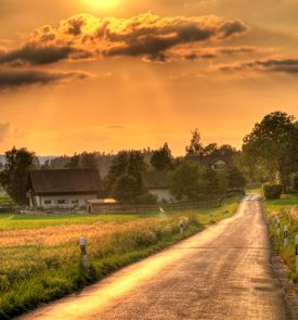 Coaching the Calling Journey